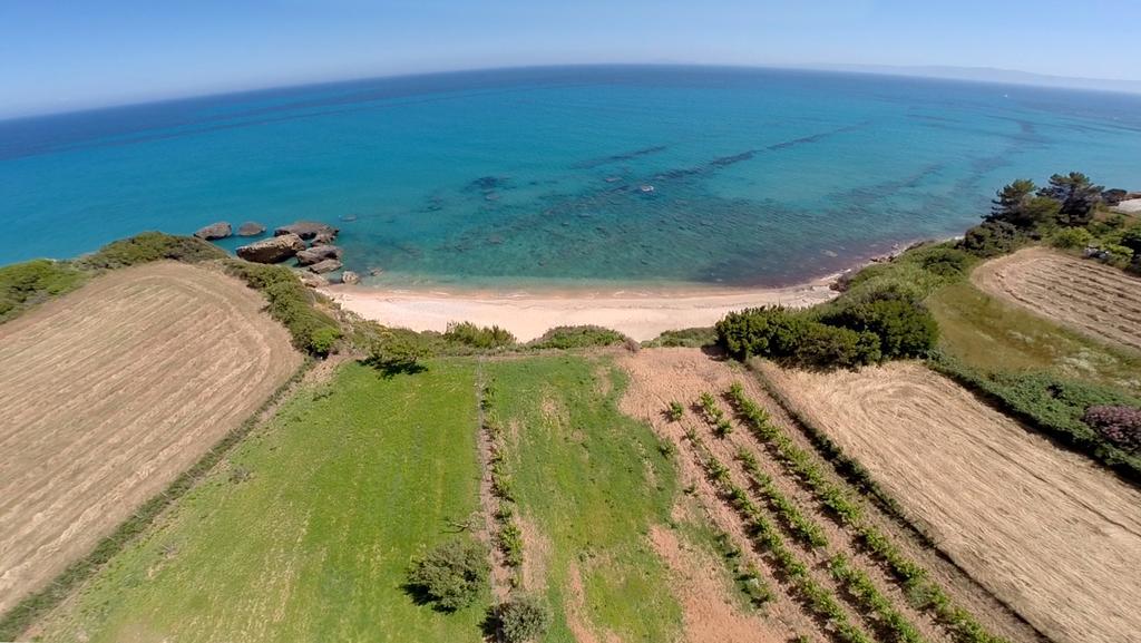 Villa Art Skala (Kefalonia)